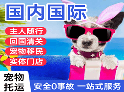 秦皇岛空运地址国际宠物托运 【国